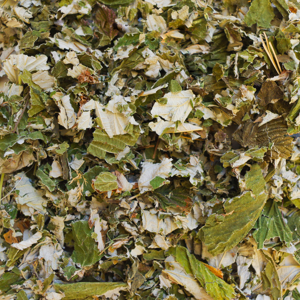 Getrocknete Himberrblätter