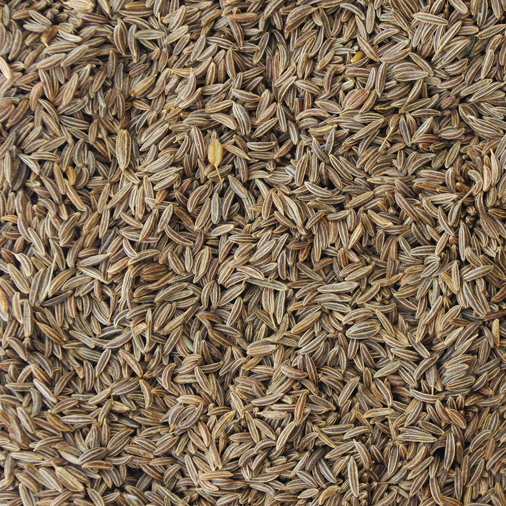 Kümmel, ganz – Bild 2