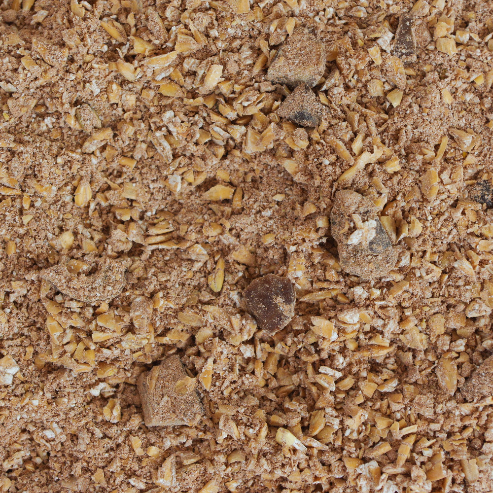 Loser Kakao-Porridge mit Dattelstückchen