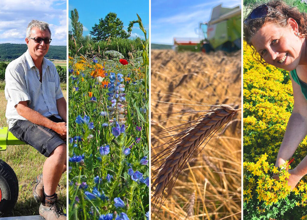 Impressionen der biodynamischen Landwirtschaft des Kräuterhofs Rossnagl.
