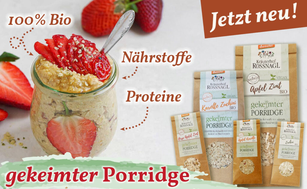 Banner mit Porridge-Produkten und Rezeptbild von gekeimtem Hirseporridge